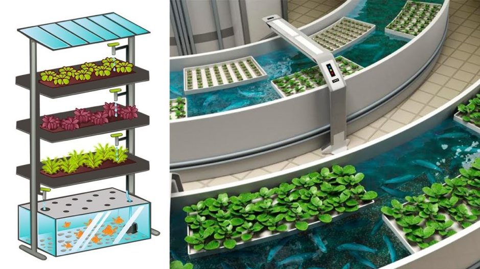 Agricultura vertical y sostenibilidad