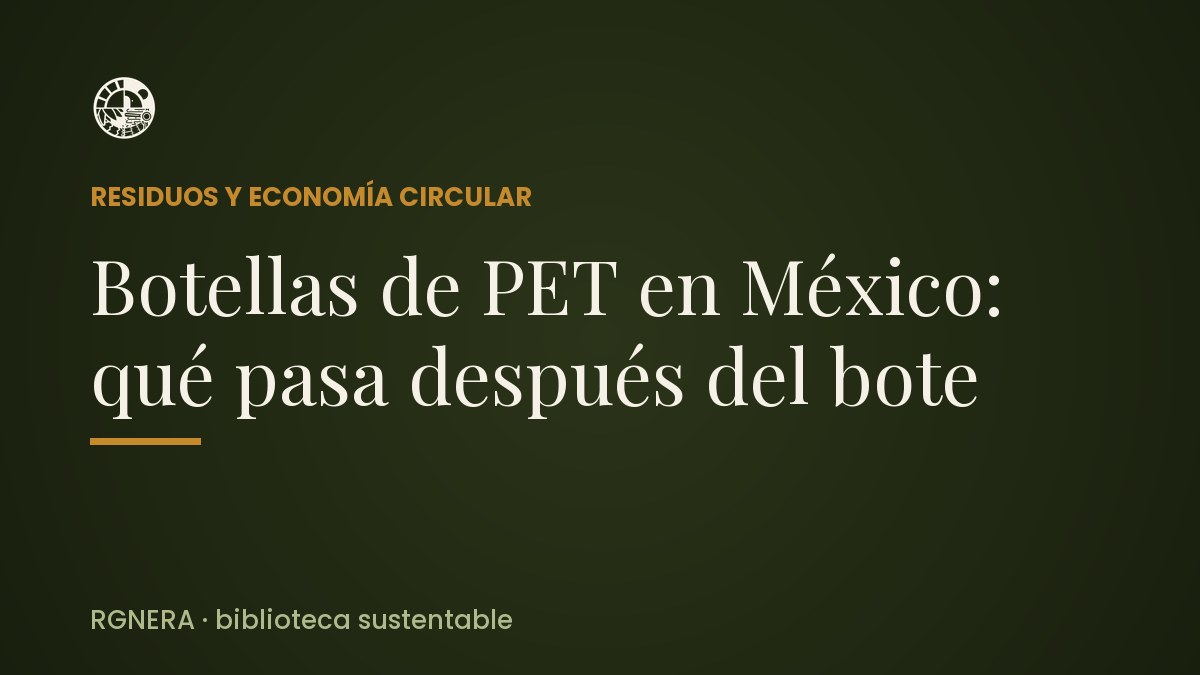 Botellas de PET en México: qué pasa después del bote