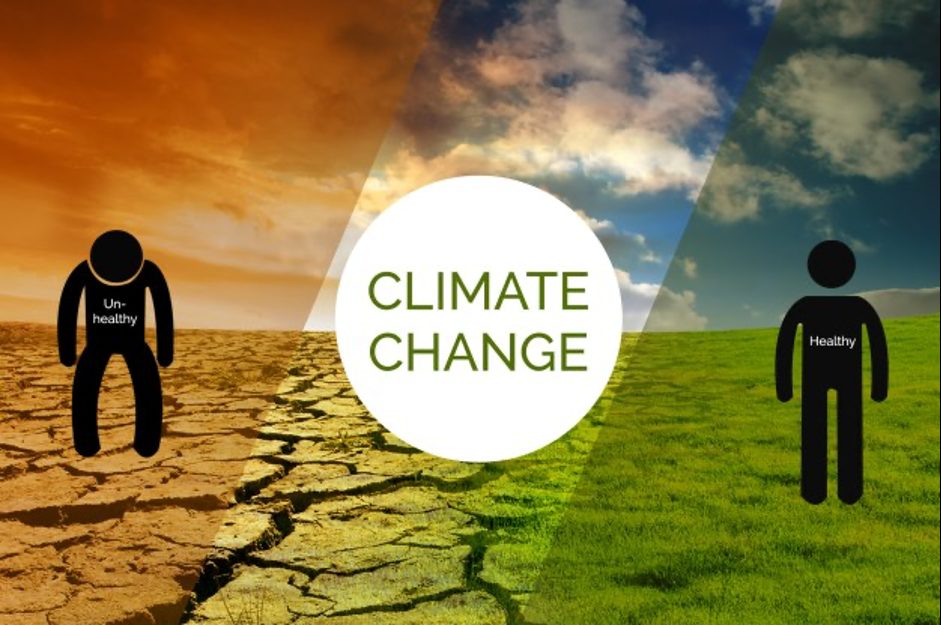 Cambio climático y salud pública