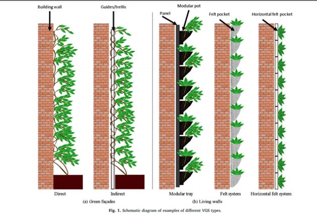 Jardines Verticales y sus beneficios